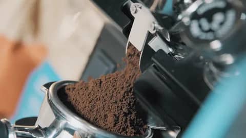 How to Choose a Coffee Grinder: Thoroughly Described
